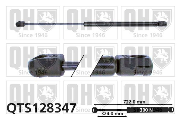  Amortecedor da capota Volkswagen Passat B5 carrinha (3B6) (2000 - 2005) B5